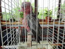 DSC08312