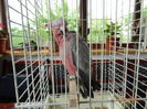 DSC08313