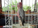DSC08315
