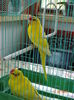 DSC08328