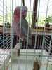 DSC08344
