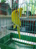 DSC08348