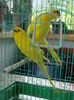DSC08355