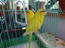 DSC08377