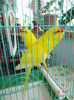 DSC08378