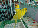 DSC08379