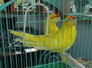 DSC08385