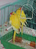 DSC08504
