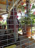 DSC09328