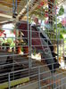 DSC09330