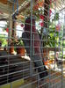 DSC09331