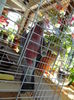 DSC09334