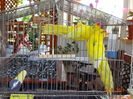 DSC09355