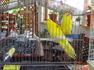 DSC09357