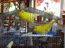 DSC09365
