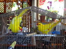 DSC09366