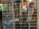 DSC09372
