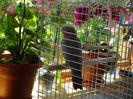 DSC09388