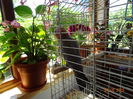 DSC09390