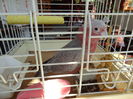 DSC09456