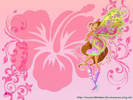 winx17