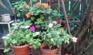 IMG-20150930-WA0027