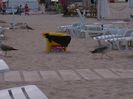 IMG_20150909_143840