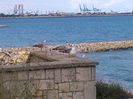 IMG_20150909_151146