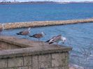 IMG_20150909_151156