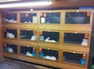 Bilder_06.04.04_003