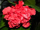 DSCN8932