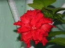DSCN8933
