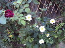 DSC06667