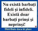12049217_1023538991010320_8865123077008724613_n