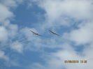 Picture 3986