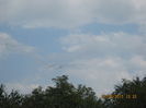 Picture 3988