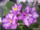 Photo0613