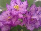 Photo0621