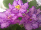 Photo0622