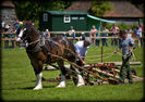 Shire-876