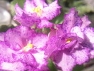 Photo0624