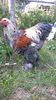 WP_20151003_15_30_27_Pro