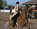 Doamna si calul Saddlebred eleganti