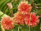 30 sept 037