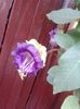 20151004_125014