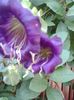 20151004_125034