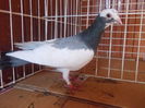DSCN1235
