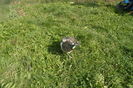 SAM_0572