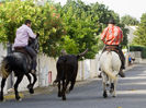 Dupa taurl la galop