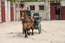La trasurica in galop